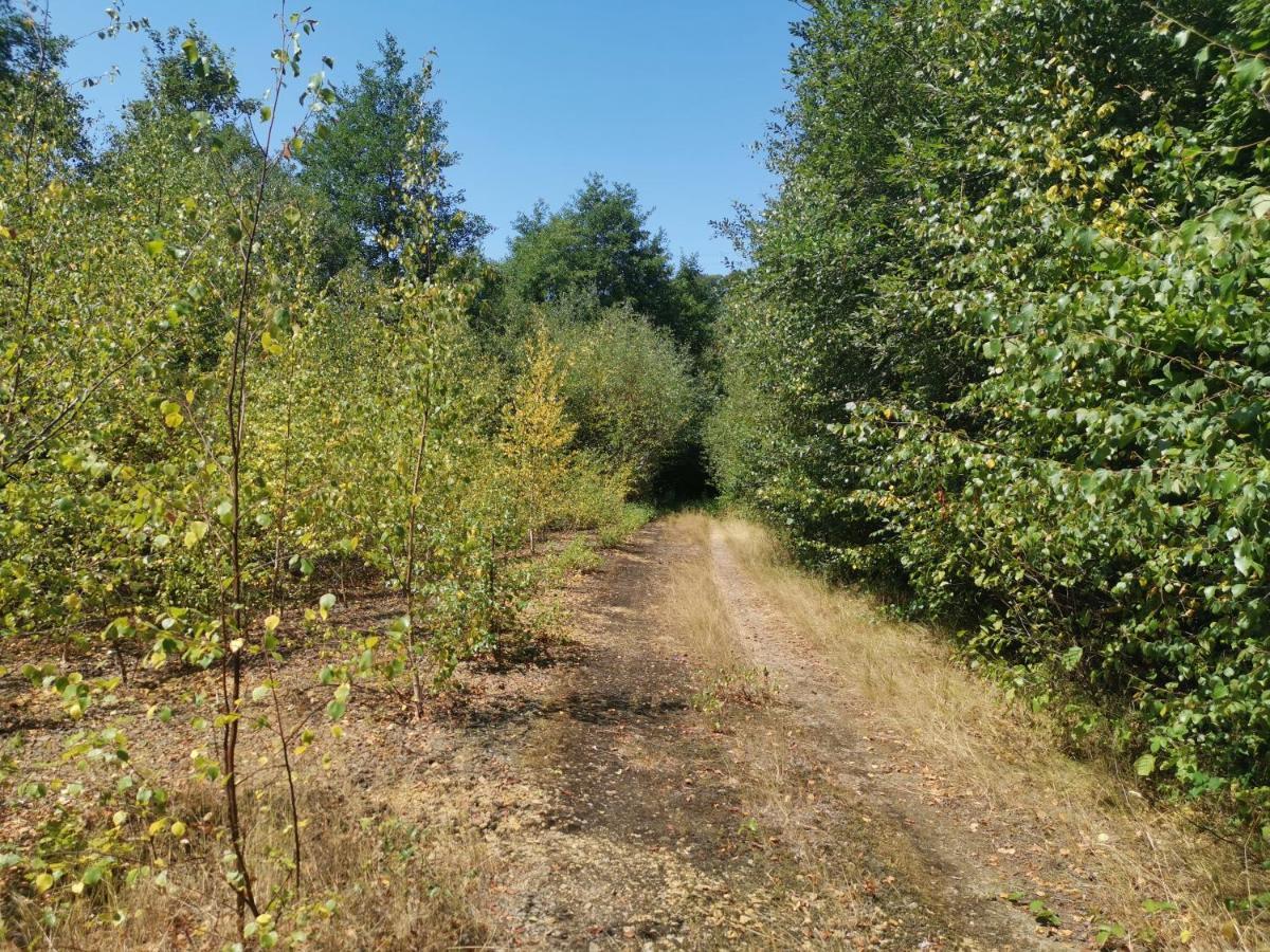 Domaine Lvd Avec Spa, Bois Et Riviere Privee La Bloutiere Exterior photo