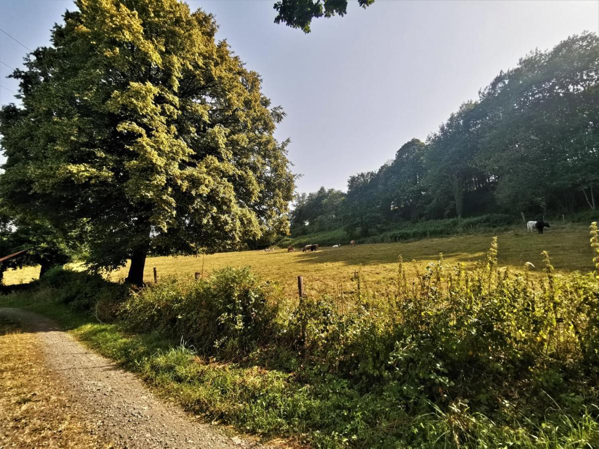 Domaine Lvd Avec Spa, Bois Et Riviere Privee La Bloutiere Exterior photo